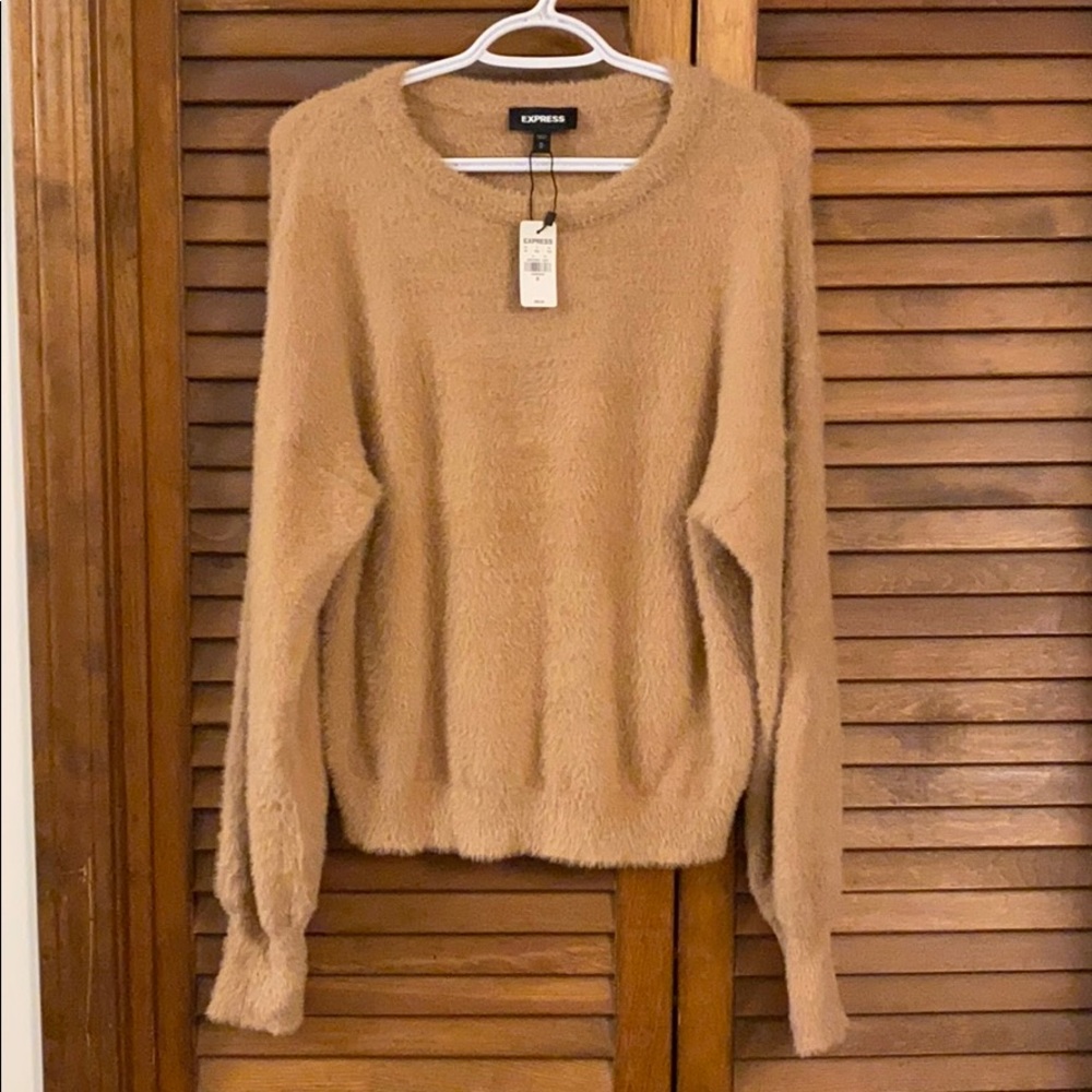 Express teddy sweater